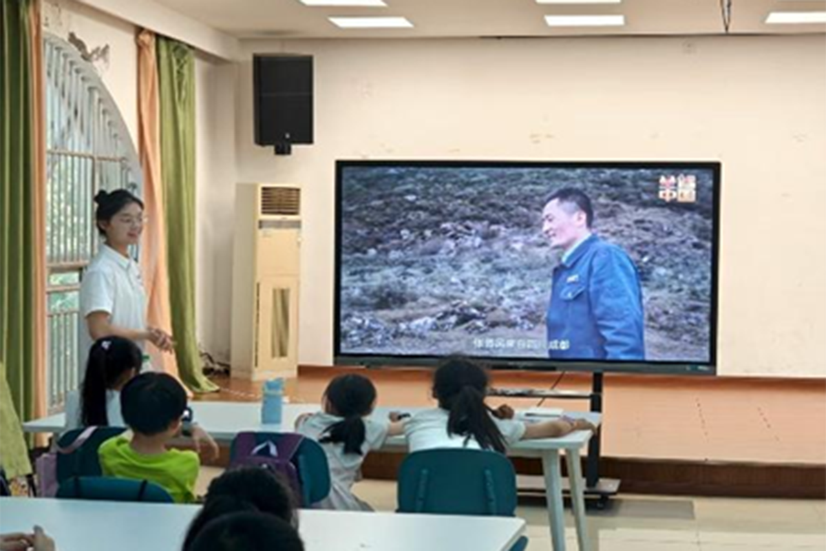 图片15